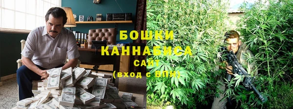 тгк Инта