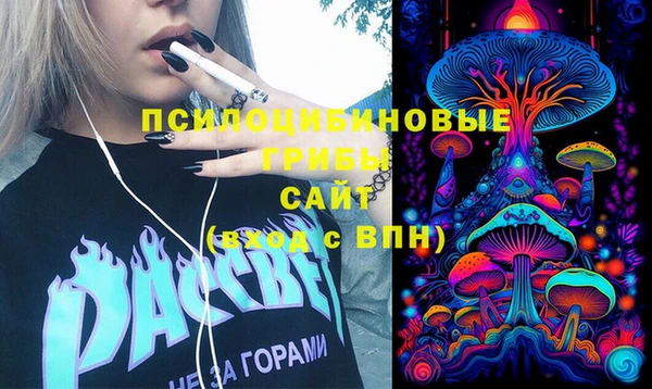 тгк Инта